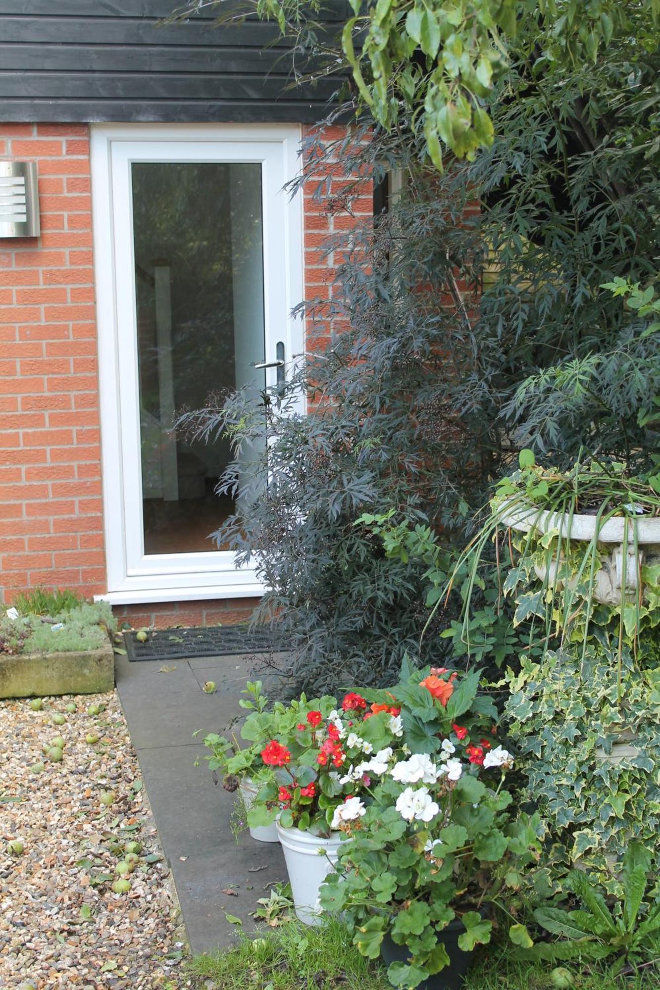 Pear Tree House Studio Ely Exterior foto